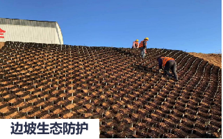 加强型土工格室