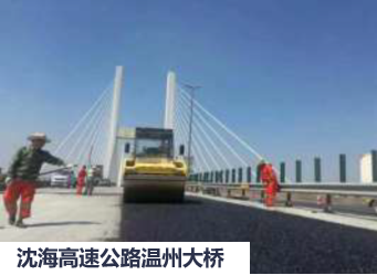 经济型低碳长寿命路面