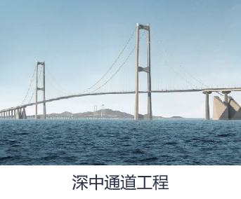 超高性能聚四氟乙烯滑板