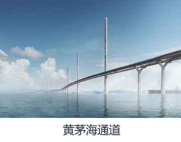 超高性能聚四氟乙烯滑板