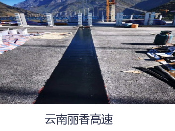 桥梁聚氨酯无缝伸缩装置
